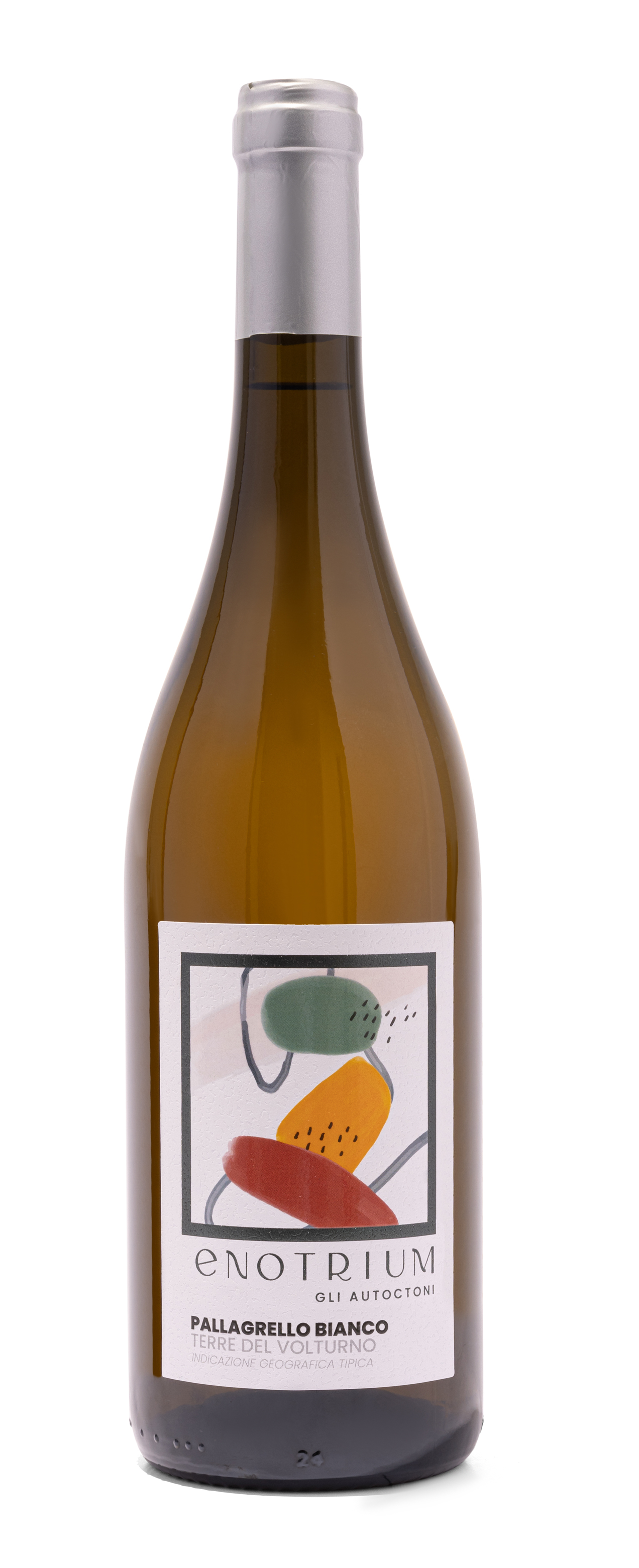 Pallagrello Bianco Terre del Volturno IGT 2024 