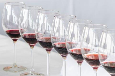 wine winners